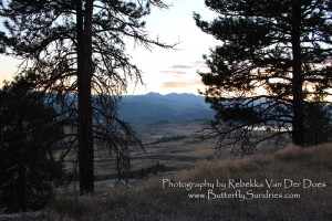 Survivor's Valley