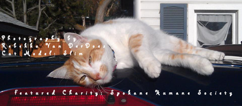 Featured Charity: Spokane Humane Society